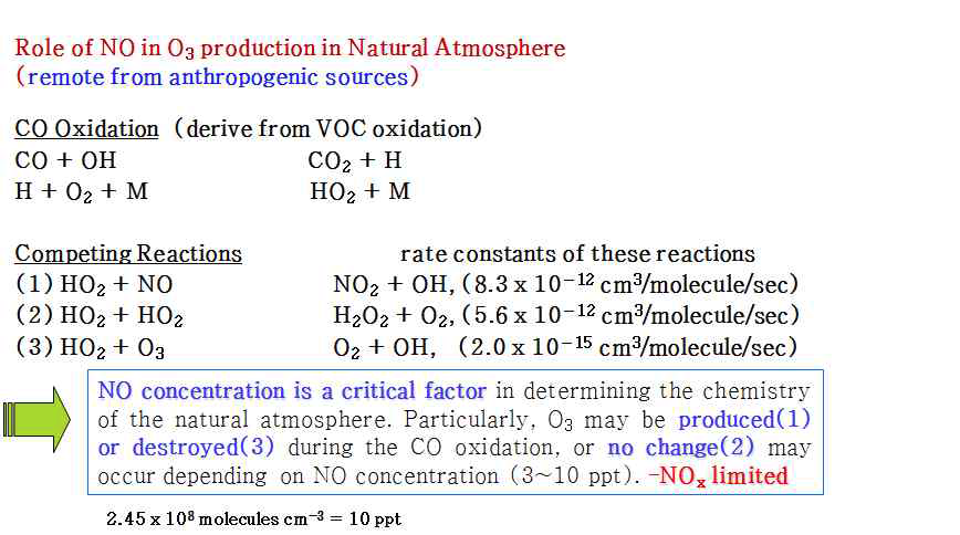교외지역의 자연 대기에서 광화학 오존생성과 NO의 대기화학적 역할