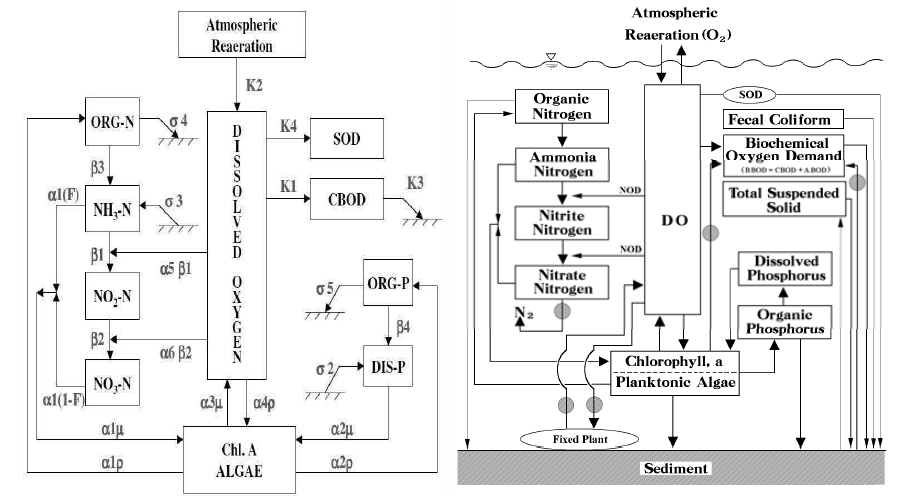 QUAL2E와 QUAL2K(Park, 2000)의 수중 반응 기작 모식도