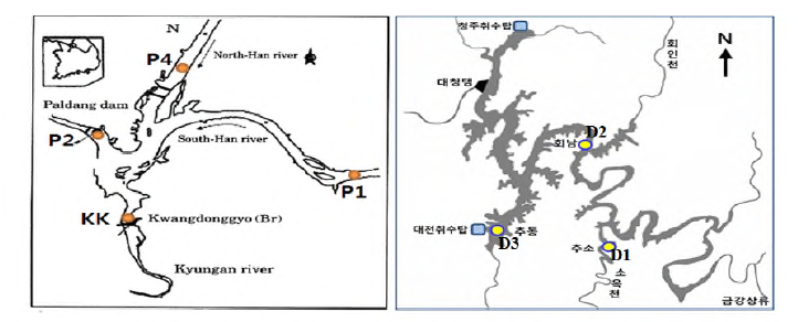 Sampling site of Paldang Reservoir and Daechung Reservoir.