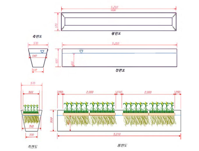 Schematic diagram for the pilot