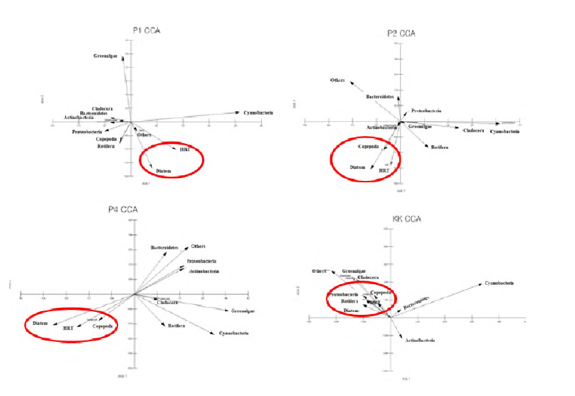 Correlation between environmental factors and phytoplankton community in Paldang Reservoir.