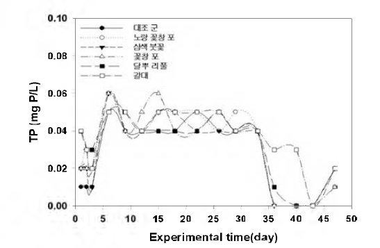 Variation of total phosphorus.