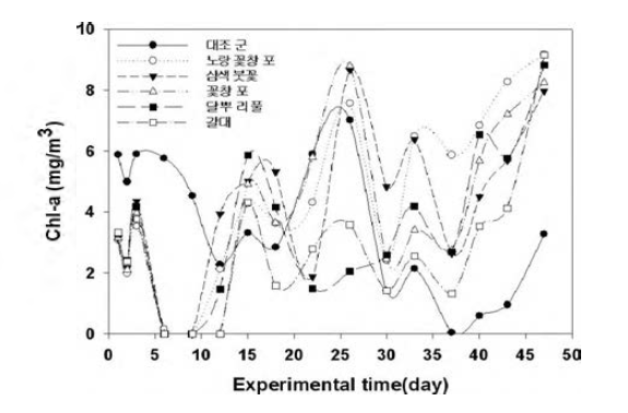 Variation of chlorophyll a.