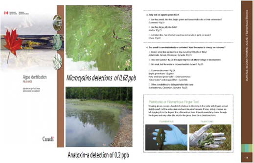 Algae identification field guide.