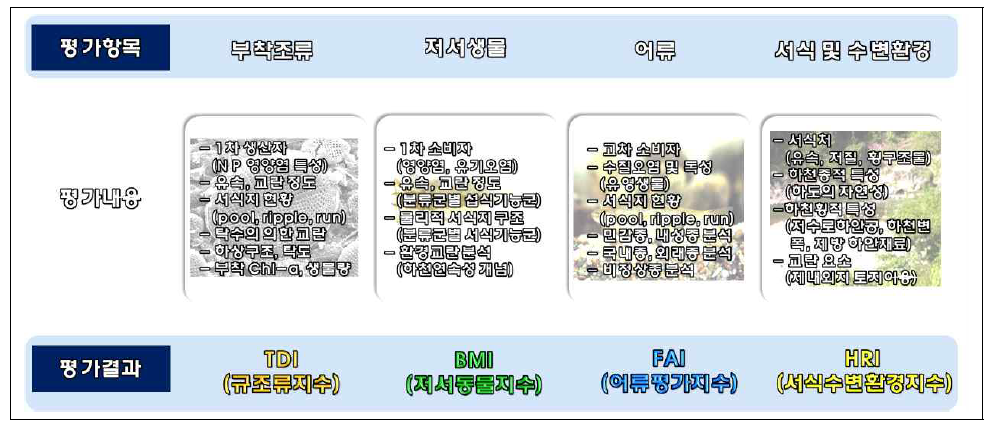 수생태계 건강성 조사 및 평가 개요