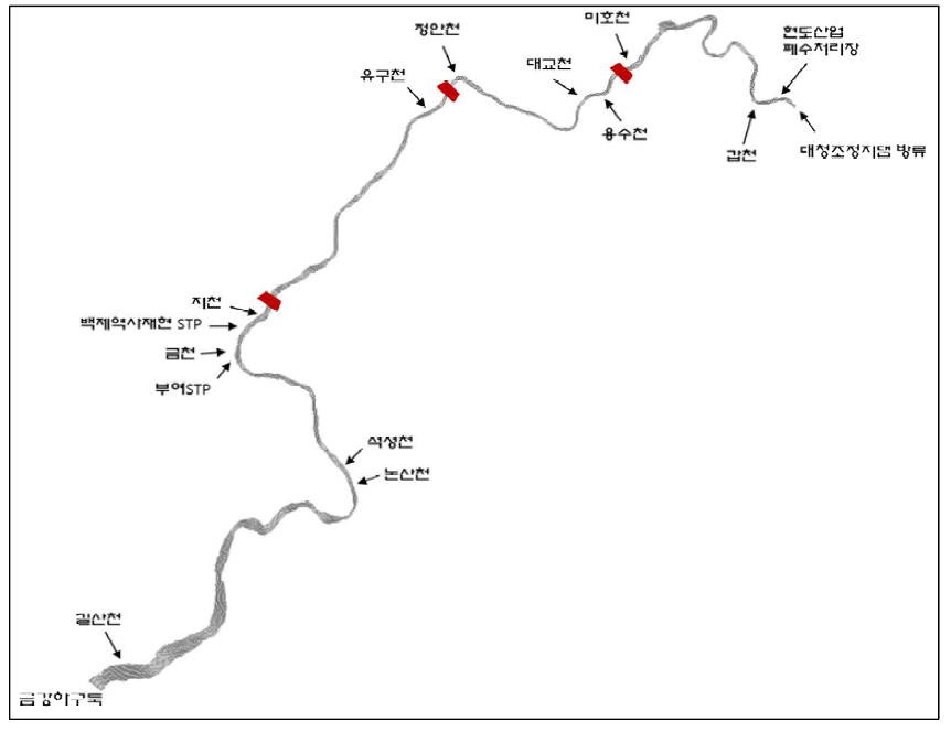 Model grid of the study area in the Geum river.