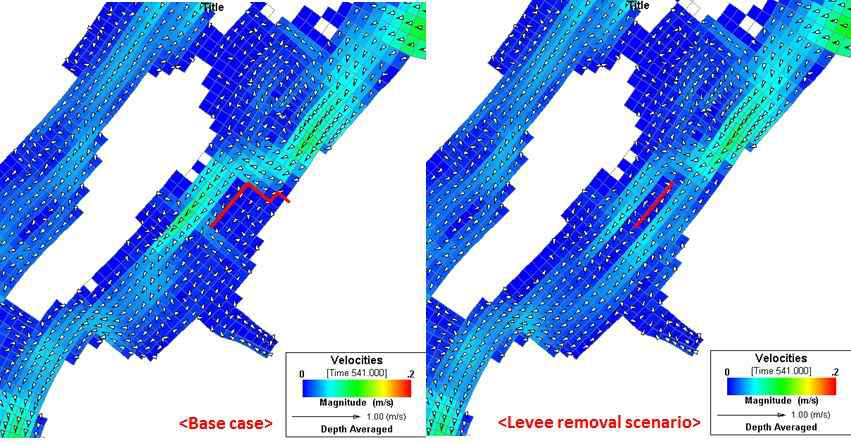 The difference of flow dynamics around the aggregate-collecting island between base case and levee removal scenario.