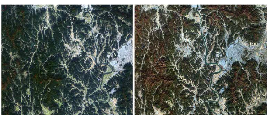 RapidEye imagery on 14, October(left) and 12, November 2013(right).