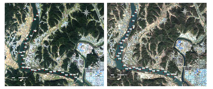 Acquired new images on 14,October(left) and 12,November(right) and each sampling sites.