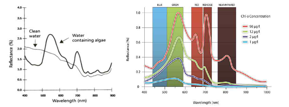 Comparison of spectrum between water containing algae and clean water(left) and Chlorophyll-a reflectance for different concentration in water in the visible and NIR spectrum(right).