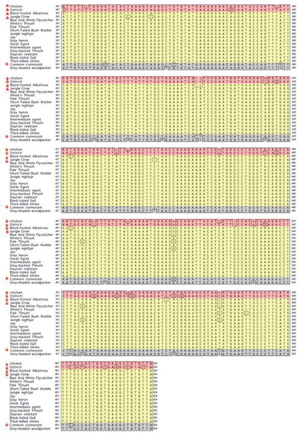 Continued comparison of avian AHR1 LBD nucleic acids