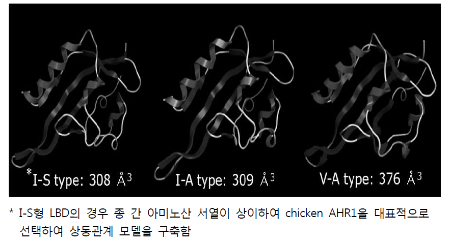 AHR1 LBD type specific-homology modeling.