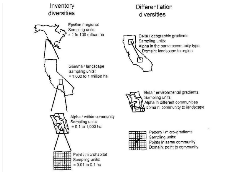 The system of biodiversity scale.