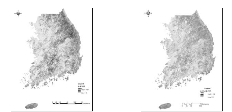 Species richness of plants