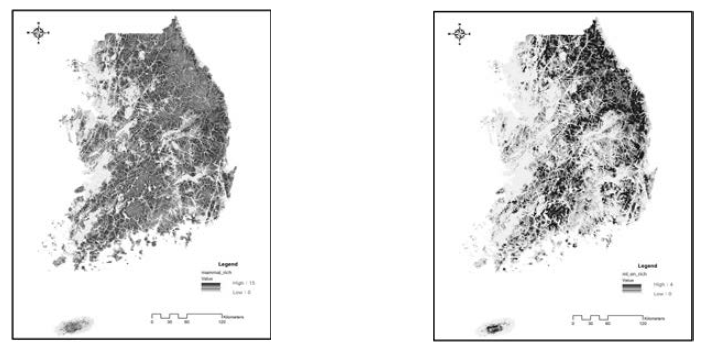 Species richness of mammals