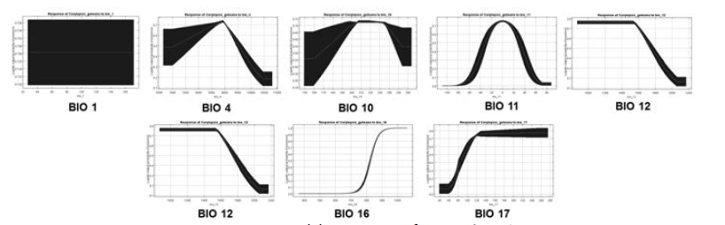 Responsible curve of Corylopsis coreana