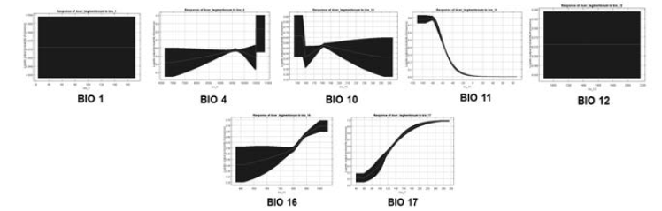 Responsible curve of Acer tegmentosum.