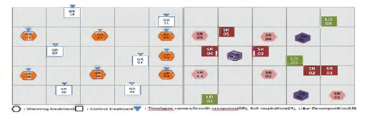 Schematic of field experiment layout including warming treatment and control for monitoring of plant growth response, soil respiration and litter decomposition rates.