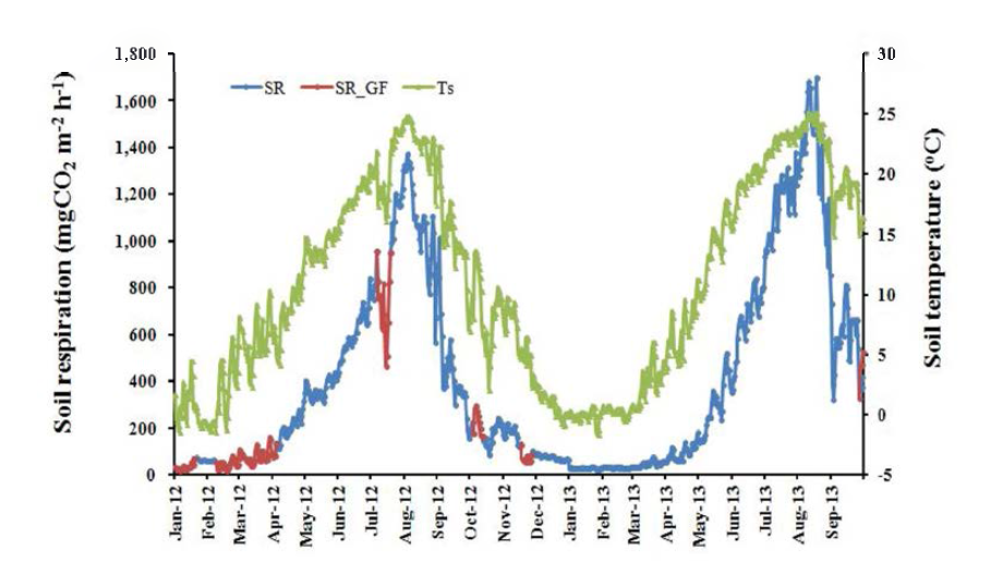 Annual change of soil respiration and soil temperature at 5cm depth in Mt. Taehwa from 2012 to 2013.