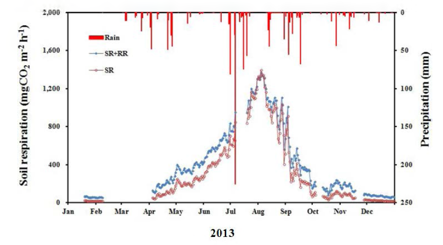 Soil respiration (S R ) and root respiration (RR ) on 2013.