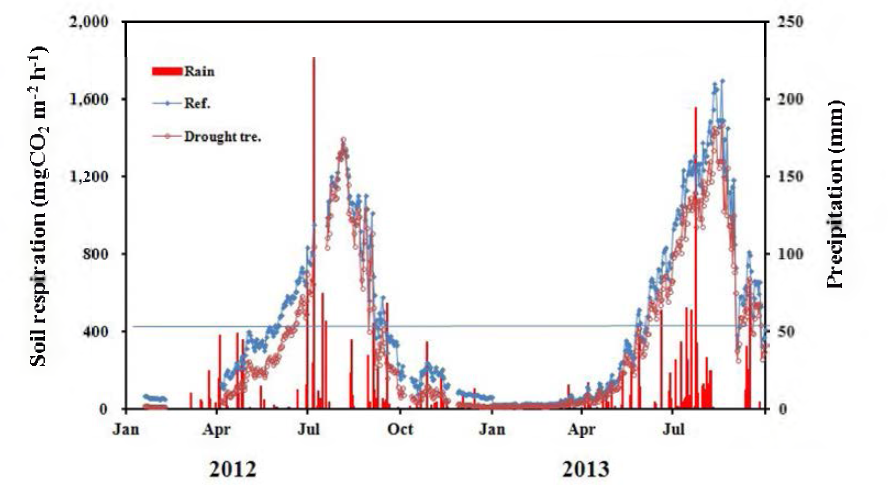 Soil respiration of drought treatment and reference from 2012 to 2013.