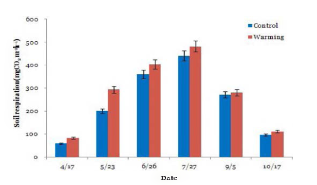 Soil respiration of warming treatment and control treatment.