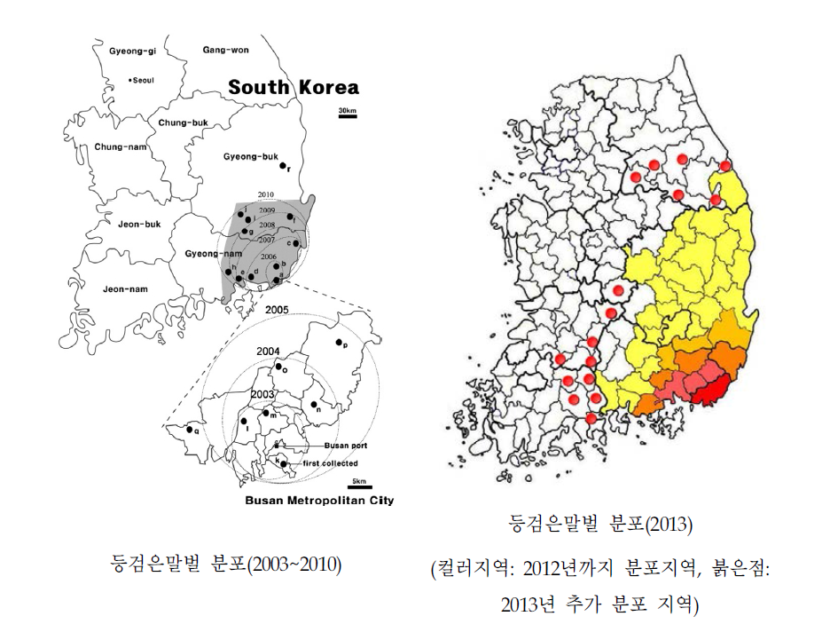 등검은말벌 분포지