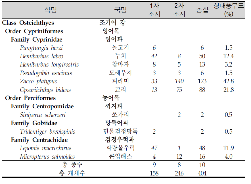 파로호에서 조사된 어류