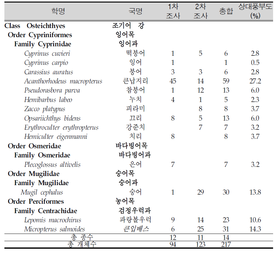 낙동강하구에서 조사된 어류