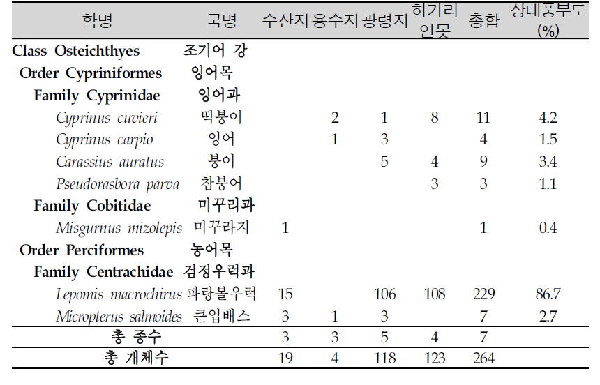 제주도 각 지점별 조사된 어류