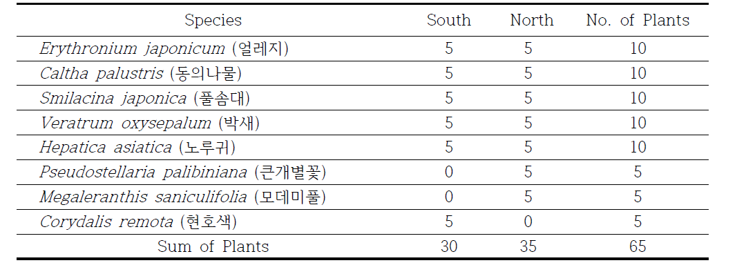 점봉산 식물계절학 사면별 초본 종 현황 (2011∼2013)