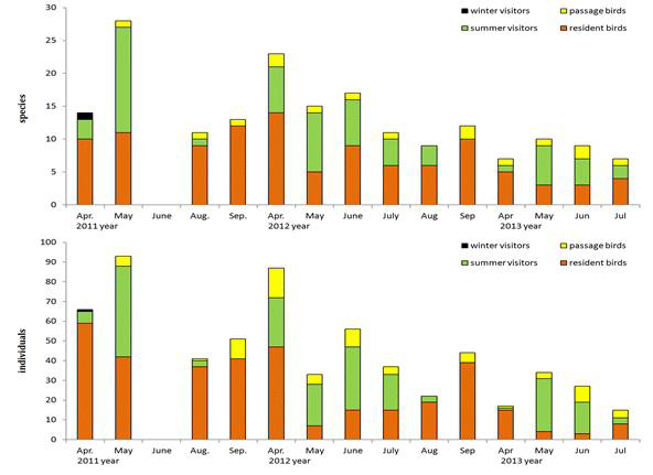 점봉산 곰배골 지역의 전체 조류 개체수의 변화 (2011-2013)