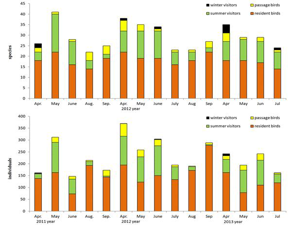 월별 전체 조류 개체수 변화, 점봉산 (2011-2013)