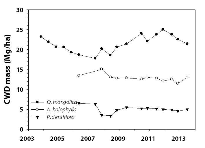 점봉산 장기생태연구지 (신갈나무림, 전나무림, 소나무림) 내 2003년부터 2012년까지 고사목 동태