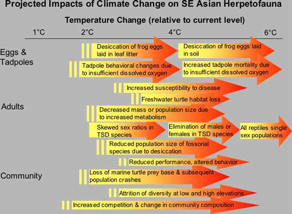 동남아시아 지역의 양서류와 파충류에게 변화하는 기후가 미치는 영향