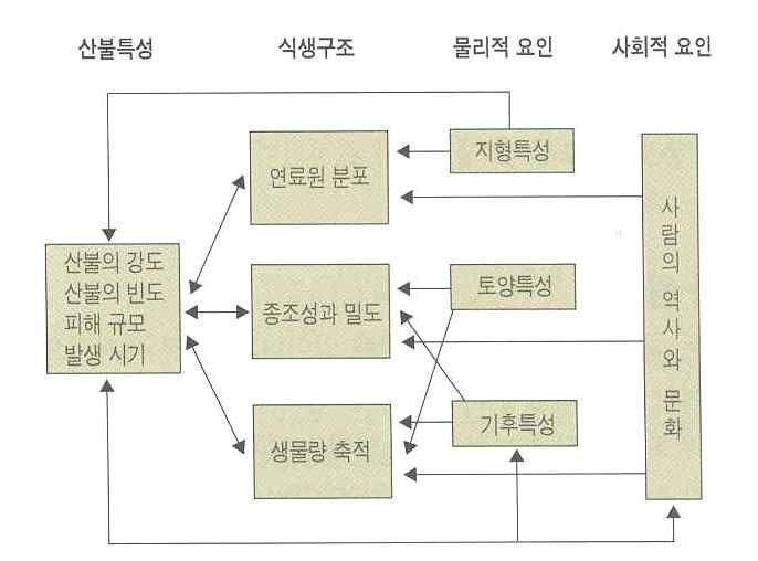 산불 발생에 영향을 미치는 식생구조, 물리적 요인 및 사회적 요인간의 상호작용