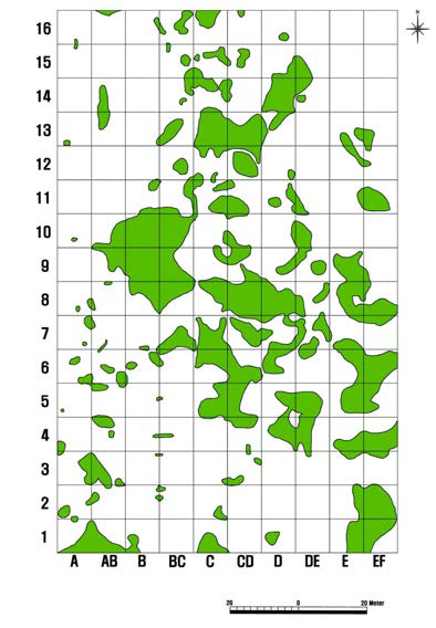 점봉산 신갈나무림 (1.6 ha)에서 2008년 8월부터 2009년 4월까지 1년간 야생멧돼지에 의한 비 표면 교란지의 분포도 (양 2010)