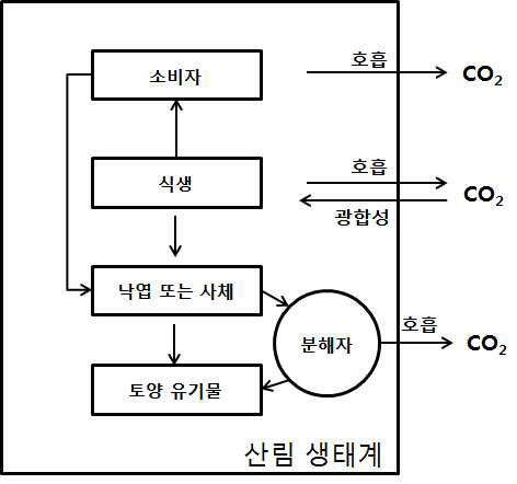 간략화한 산림생태계의 탄소순환 모식도