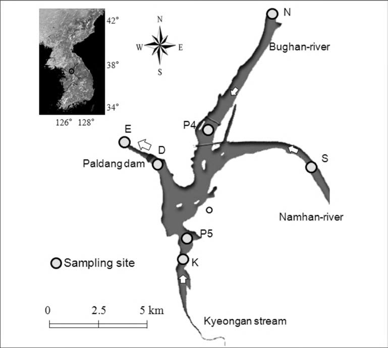 Sampling points in Paldang reservoir.
