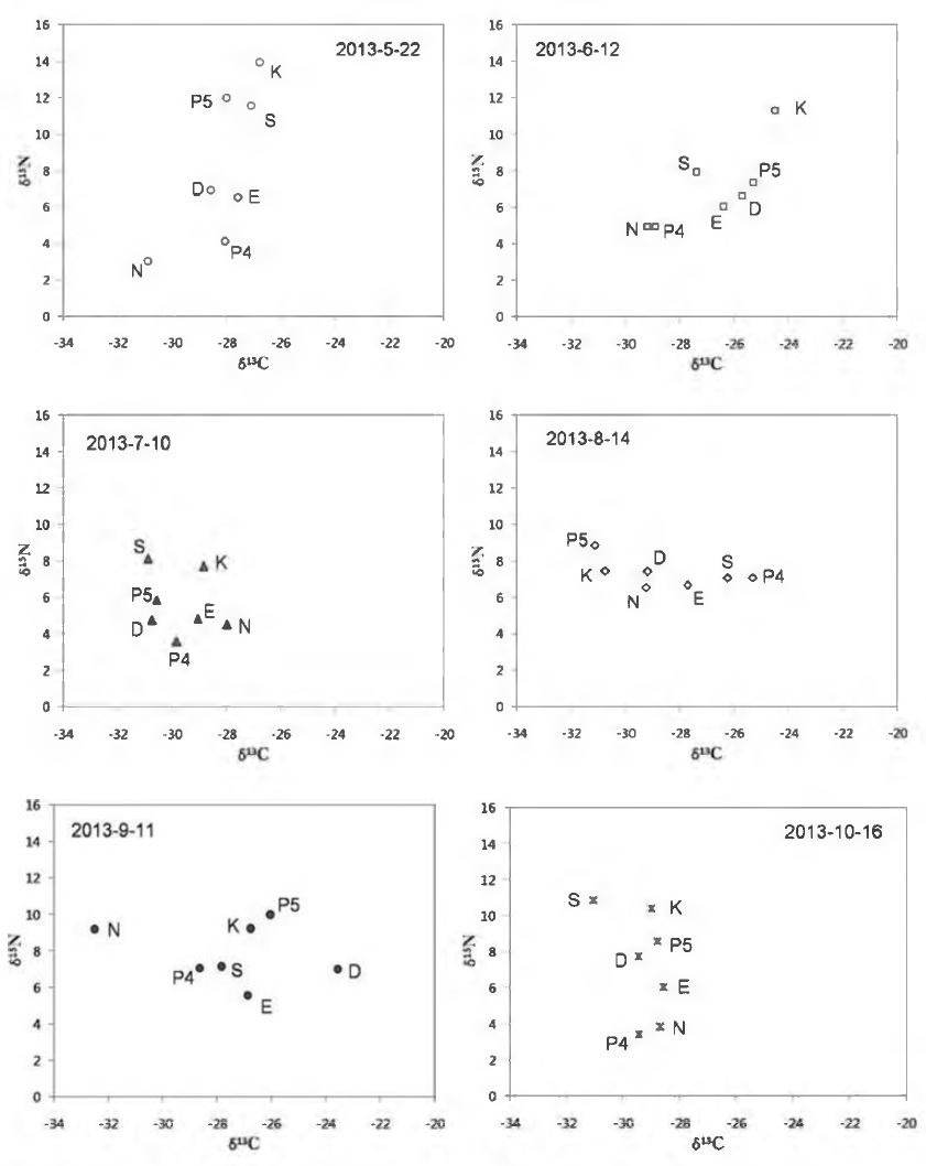 δ13C vs δ15N distribution of sampling sites at each month (from May to October).