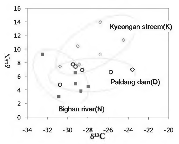 Comparison of δ13C vs δ15N distribution at Dam(D), Bughan river(N) and Kyeongan stream(K) sampling sites.