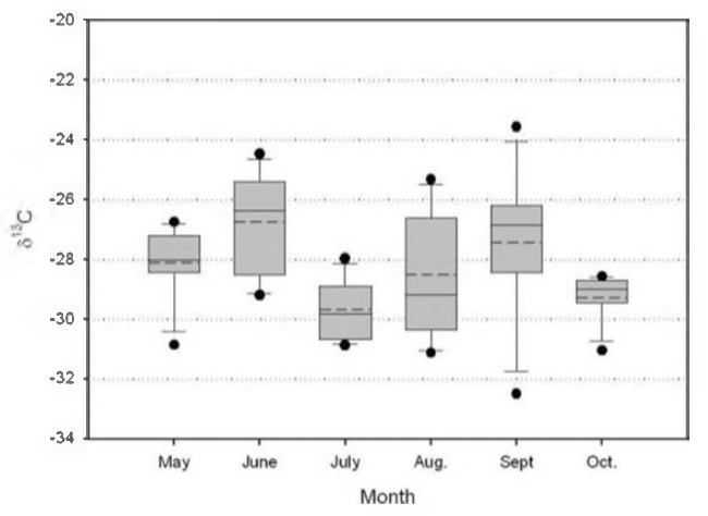 δ13C distribution range of 7 sampling points from May to October.