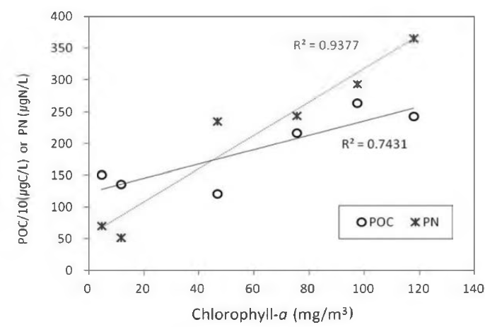 Correlation between POC(or PN) concentration and Chlorophyll- α concentration at Kyeongan stream sampling site(K) in Paldang reservoir