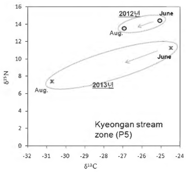 Comparison of δ13C and δ15N distribution in 2012 and 2013 at Kyeongan stream zone(P5) sampling sites in June and August