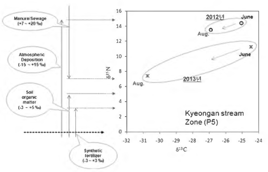 Comparison of δ15N distribution range in 2012 and 2013 at Kyeongan stream zone(P5) sampling sites from June to August