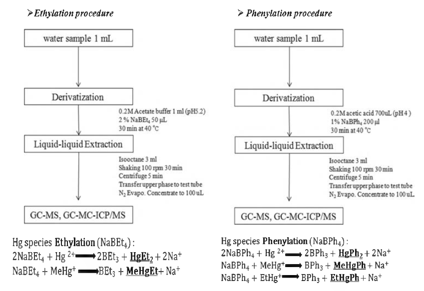 Alkylation procedure of organic and inorganic Hg.