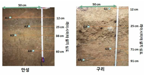 토양수채수기 설치(Lysimeter) 및 위치
