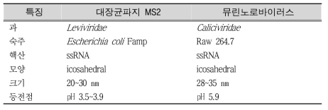 대장균파지 MS2와 뮤린노로바이러스의 특징