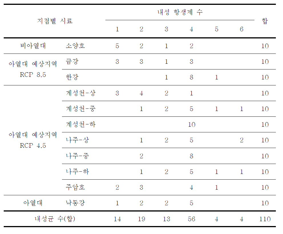 Ampicillin 저항성균의 다제 저항성 분포