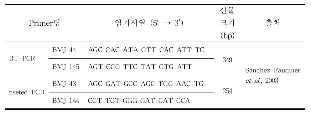 C형 로타바이러스 유전자 분석을 위한 primers의 구성